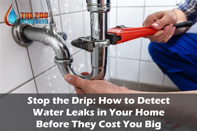 Detect Water Leaks